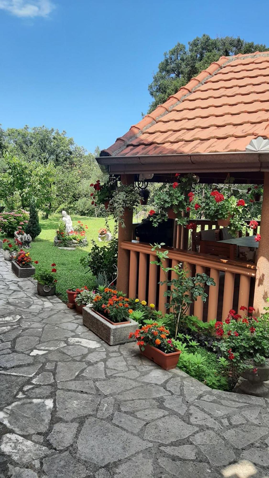 Apartmani "Dukic" Pelinovo 客房 照片