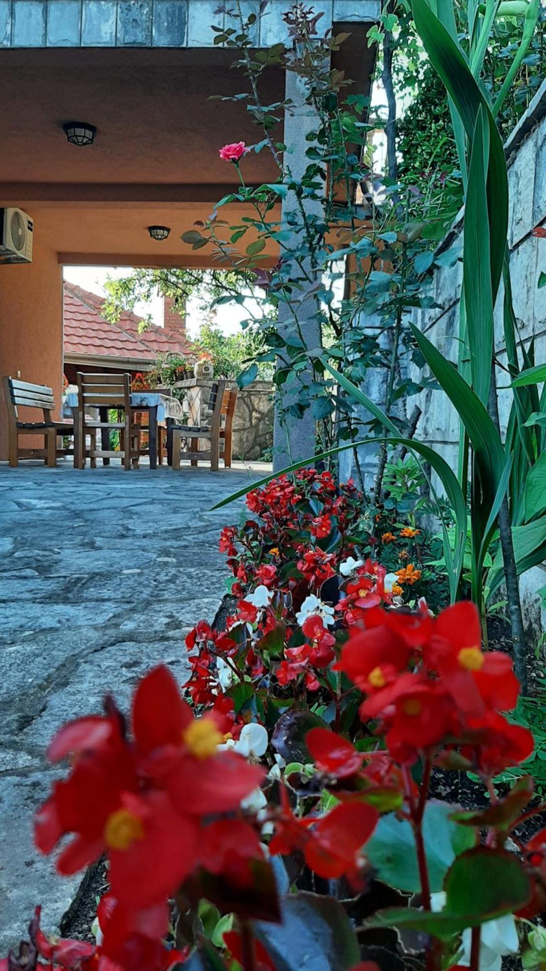 Apartmani "Dukic" Pelinovo 客房 照片