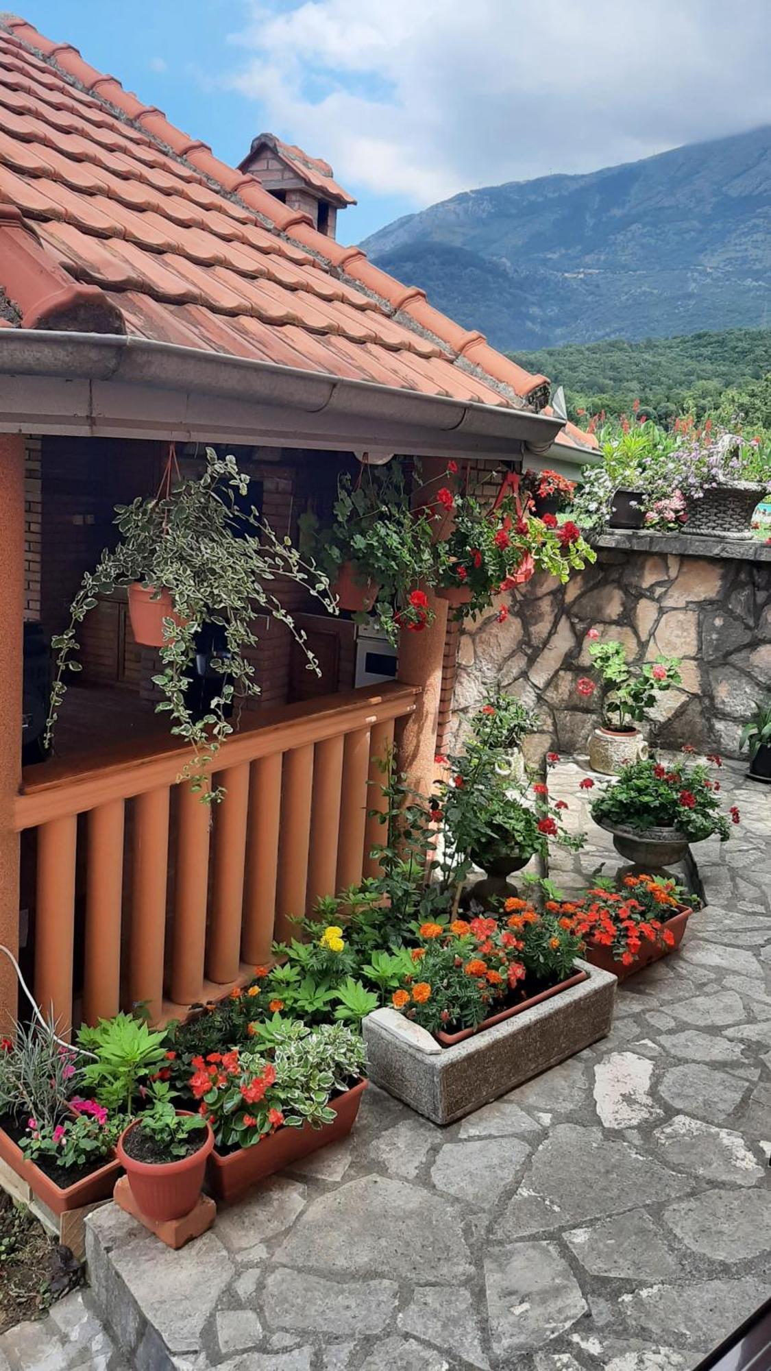 Apartmani "Dukic" Pelinovo 客房 照片