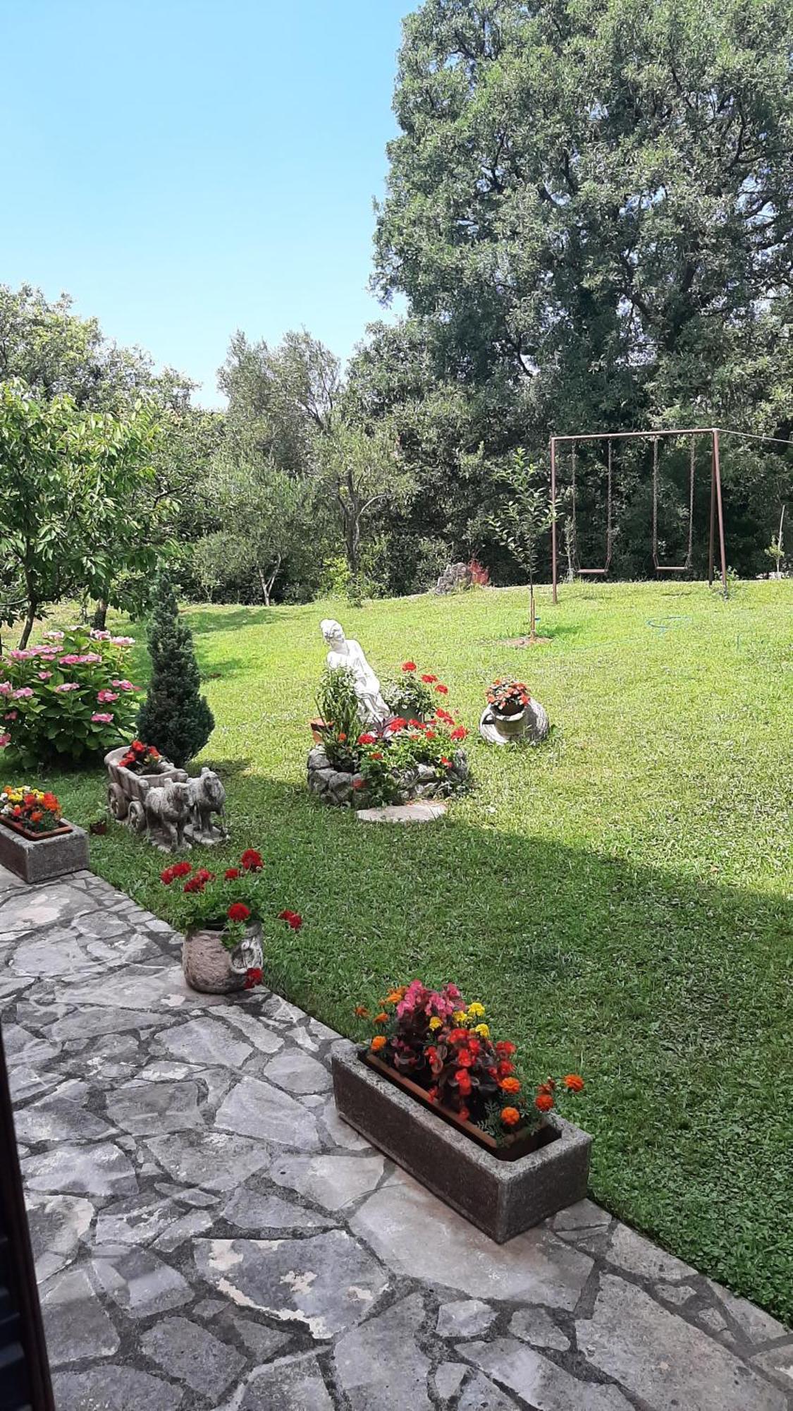 Apartmani "Dukic" Pelinovo 客房 照片