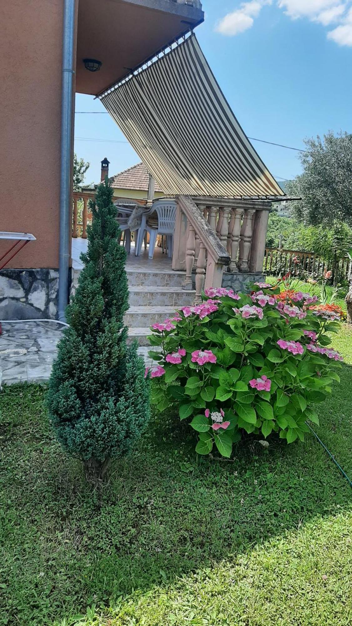 Apartmani "Dukic" Pelinovo 客房 照片